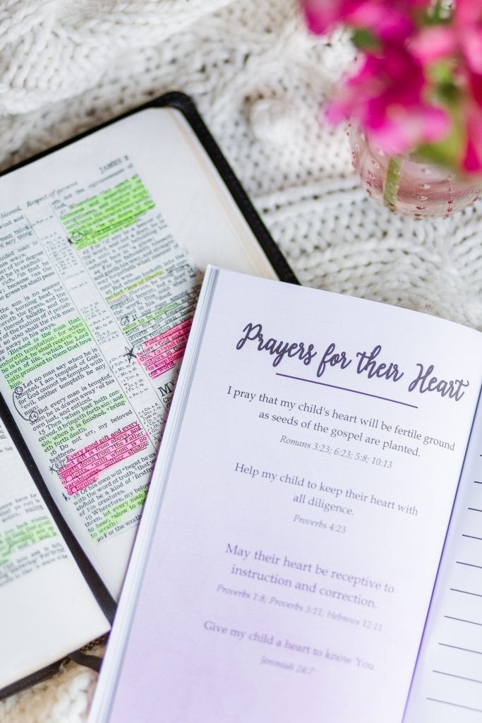 Head to Toe Prayer Journal open with Bible underneath it.