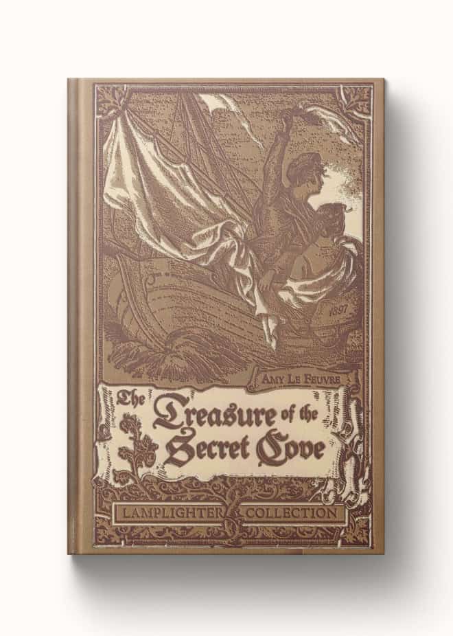 Intriguing vintage book cover of "The Treasure of the Secret Cove" from the Lamplighter Collection.